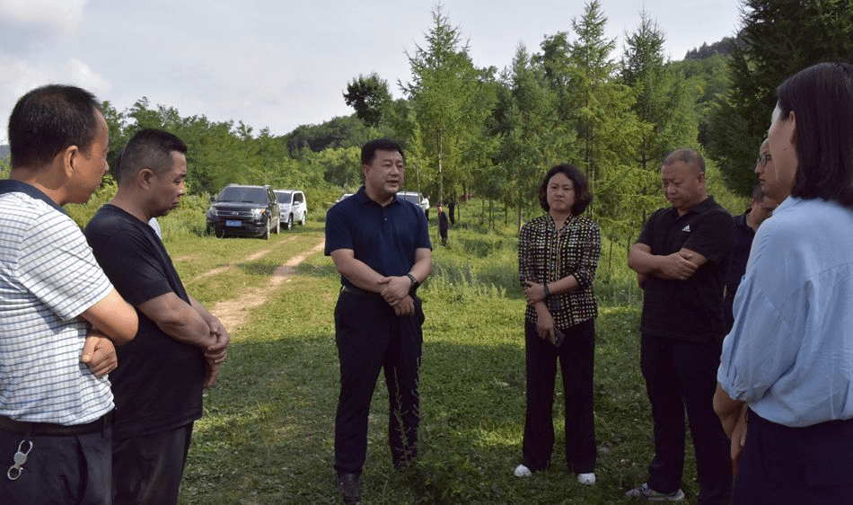 赵虎生督查调研麦积镇重点工作重点项目