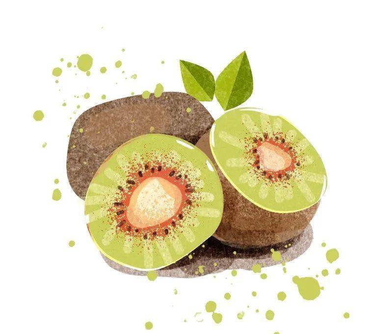 「香甜红心猕猴桃」