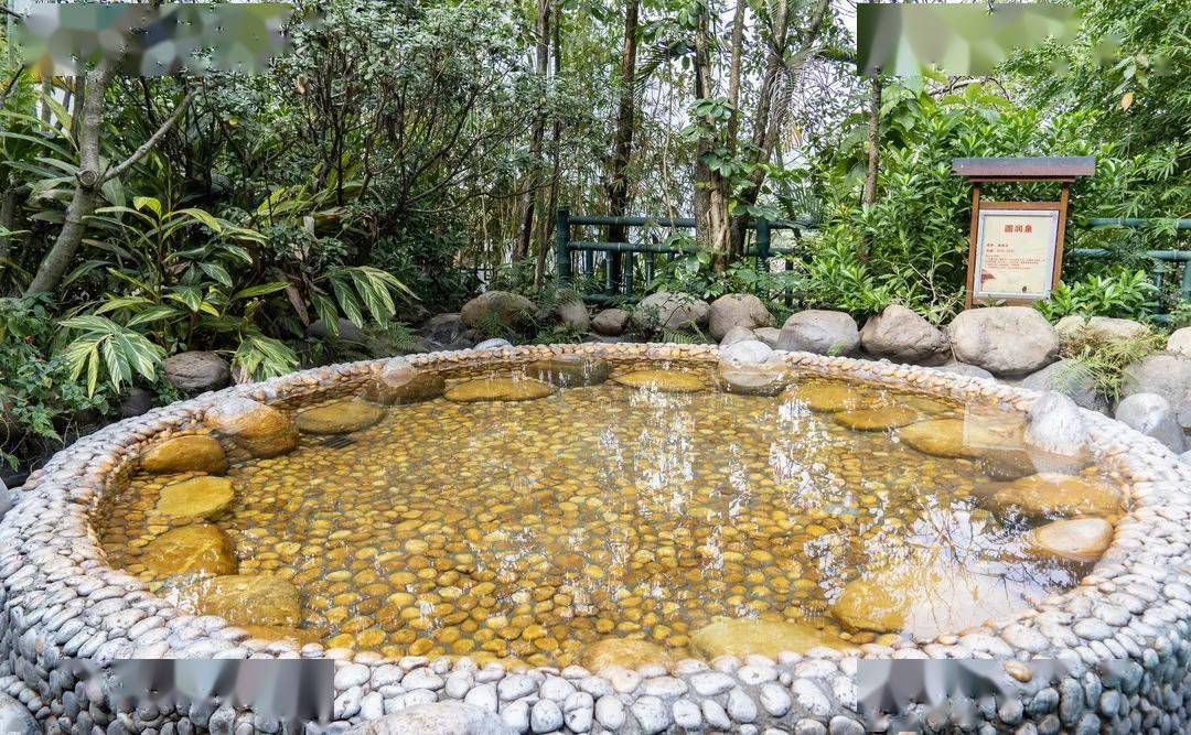 06388秒清远银盏森林温泉双人套票住景观房双人温泉门票双人早餐