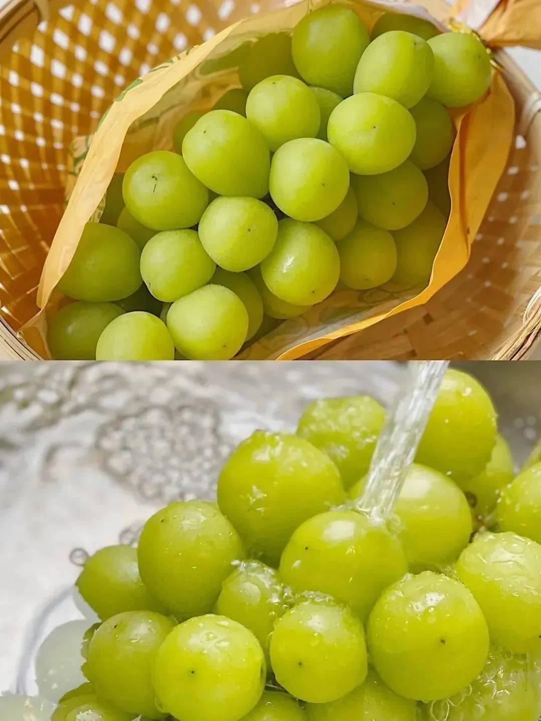 秘鲁大青提