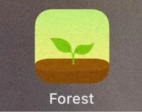 01 forest专注森林四,时间管理类   滑动查看下一张图片 