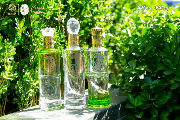 年轻势力中国活力丛台活分子新品登陆廊坊