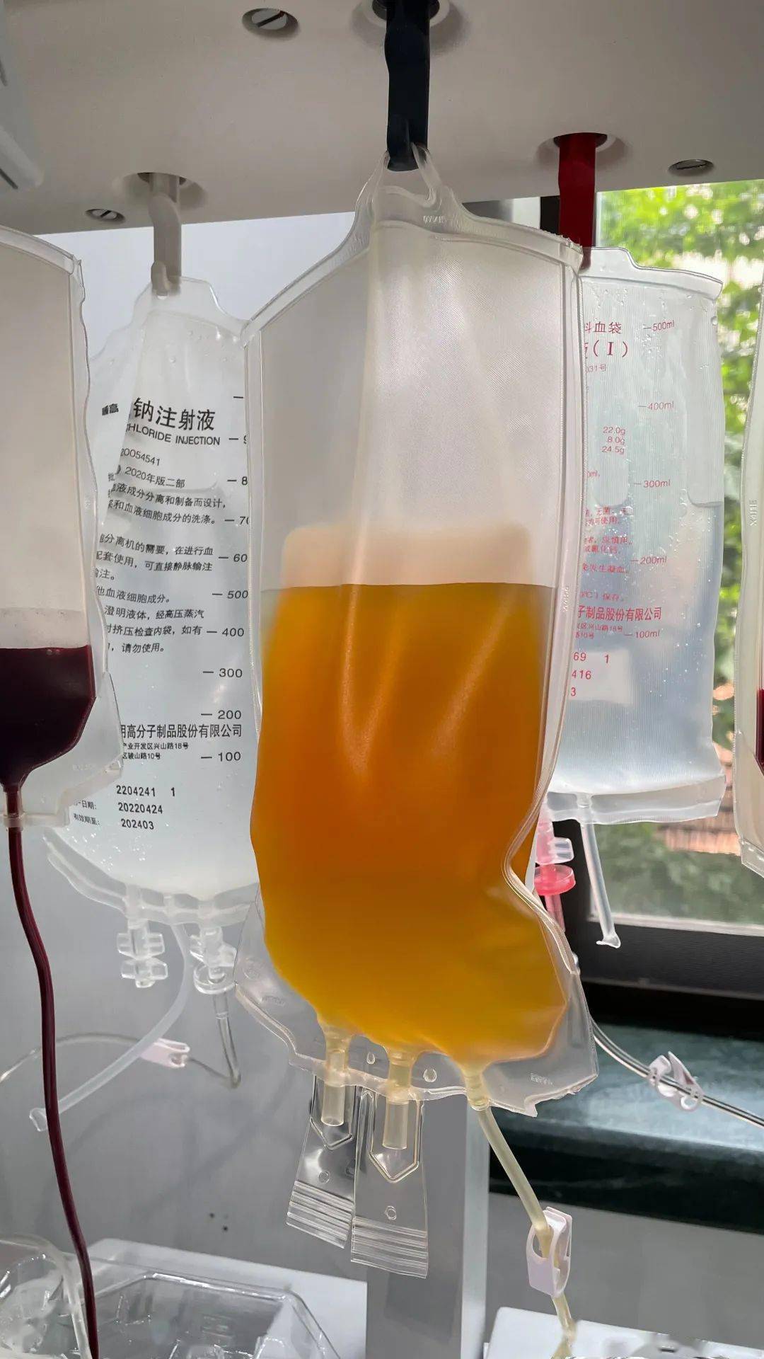 血小板_齐南_孙昌魁