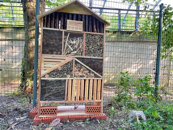 辰山植物园星级“昆虫旅馆”开张近一个月，昆虫界“裁缝大师”和蚂蚁家族首批入住