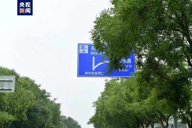 北京交警：如发现路树遮挡交通设施 可通过“随手拍”进行反映