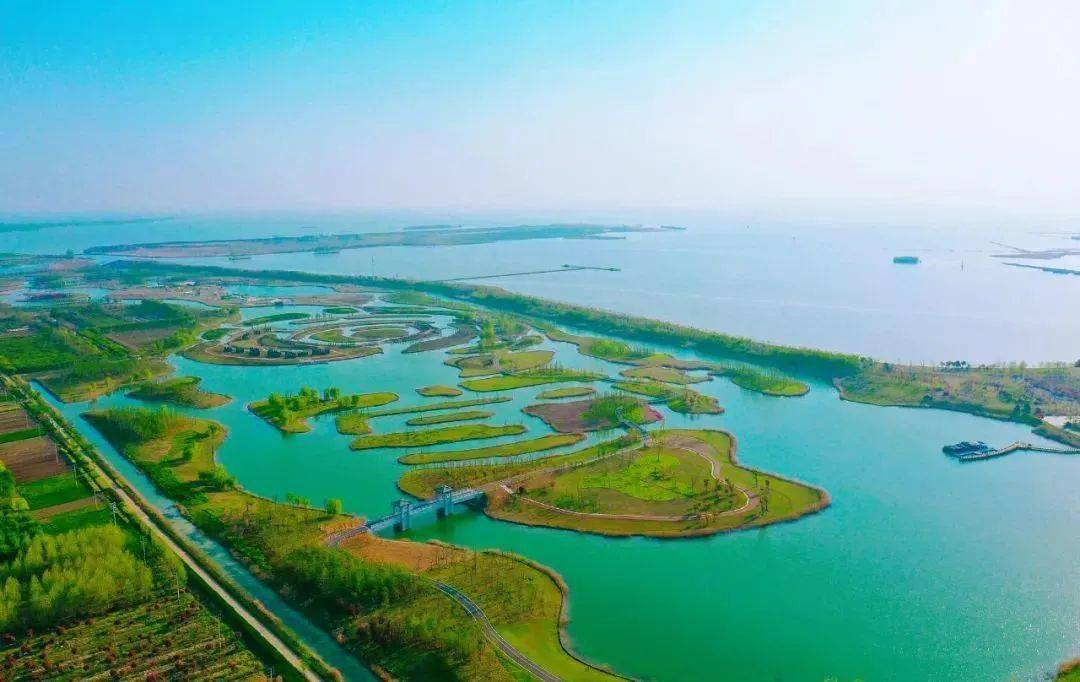 泗阳成子湖生态酒店图片