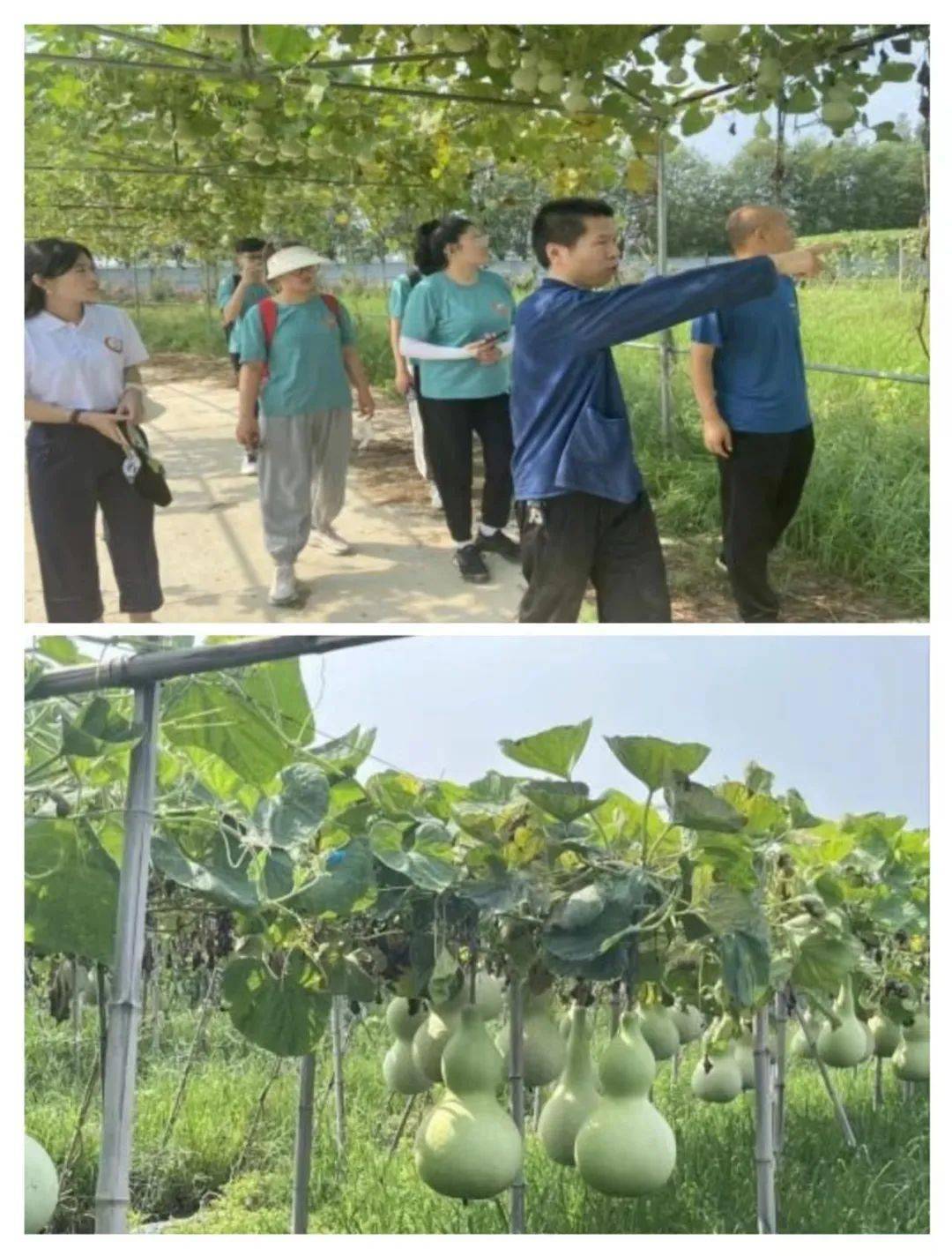 “小葫芦，大事业”走进山东省聊城市东昌府区