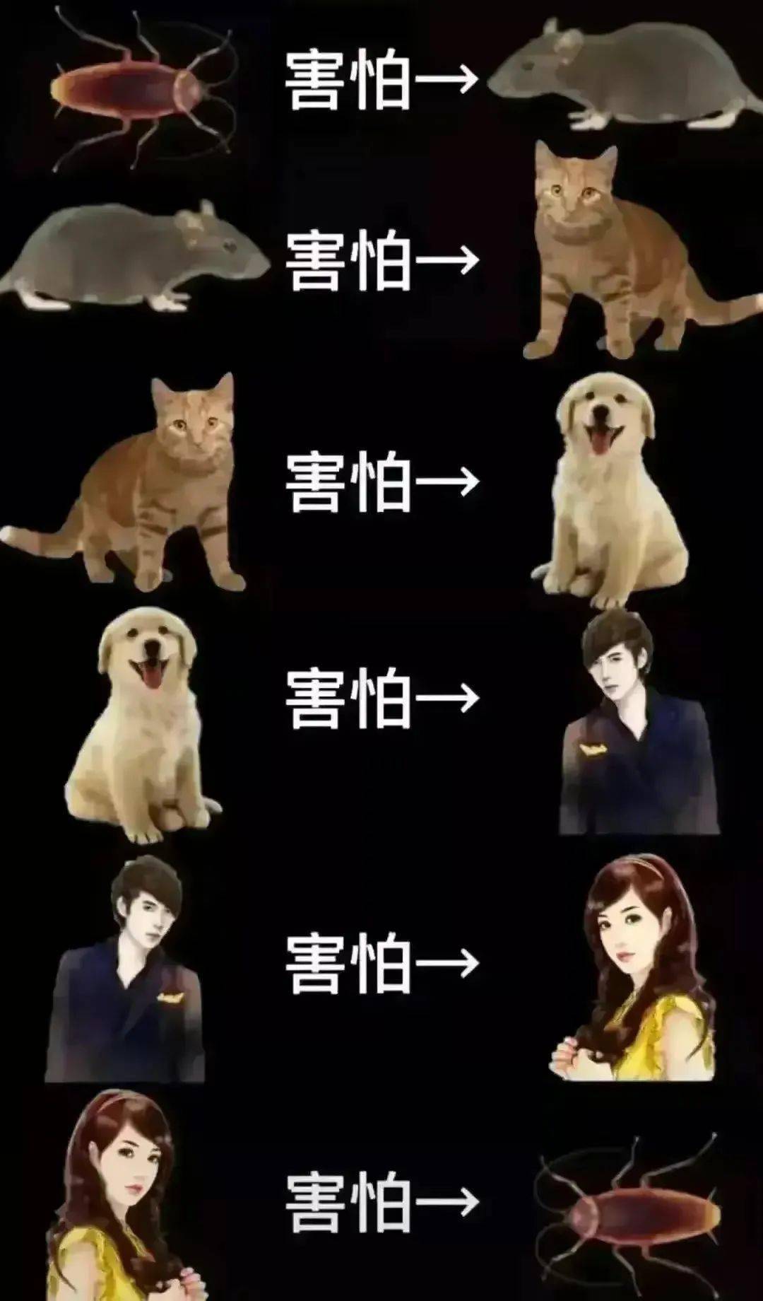 今日热图 | 万事环环相扣!_侵权_网络_来源