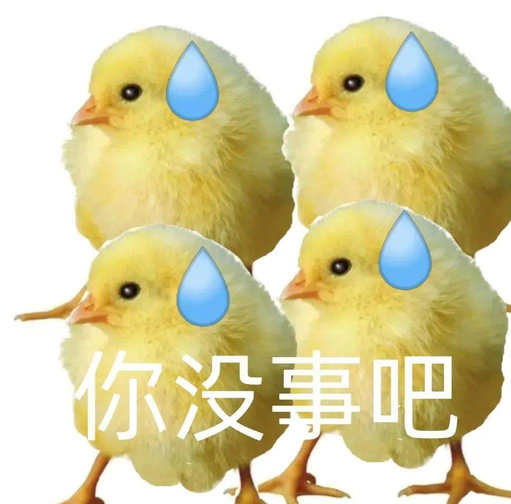 沙雕表情包上新咯又到了存表情包的快乐时间啦点个"在看"不失联返回
