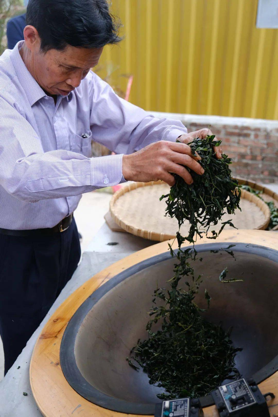 这个恩平田间的"野草",竟然会有清热排毒,消暑解渴,减肥抗疲劳的奇效!