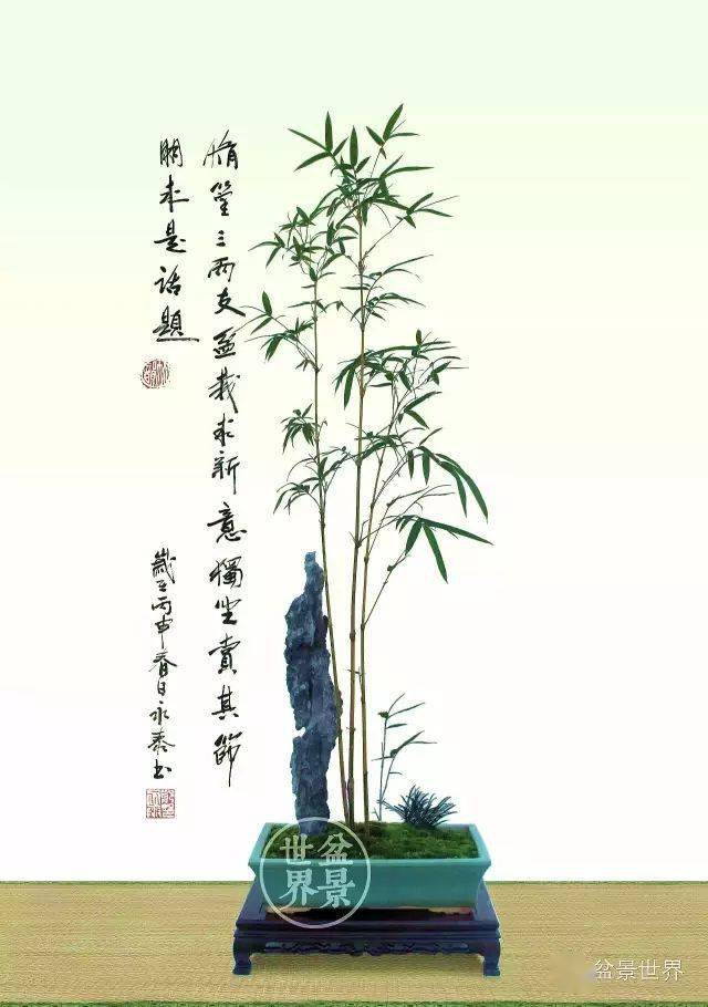 不可居无竹_郑永泰_作品_cm