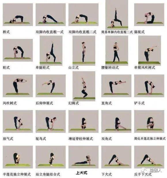 瑜伽体位图224式大全,值得永久收藏,拿去不谢!_pada_eka_体式