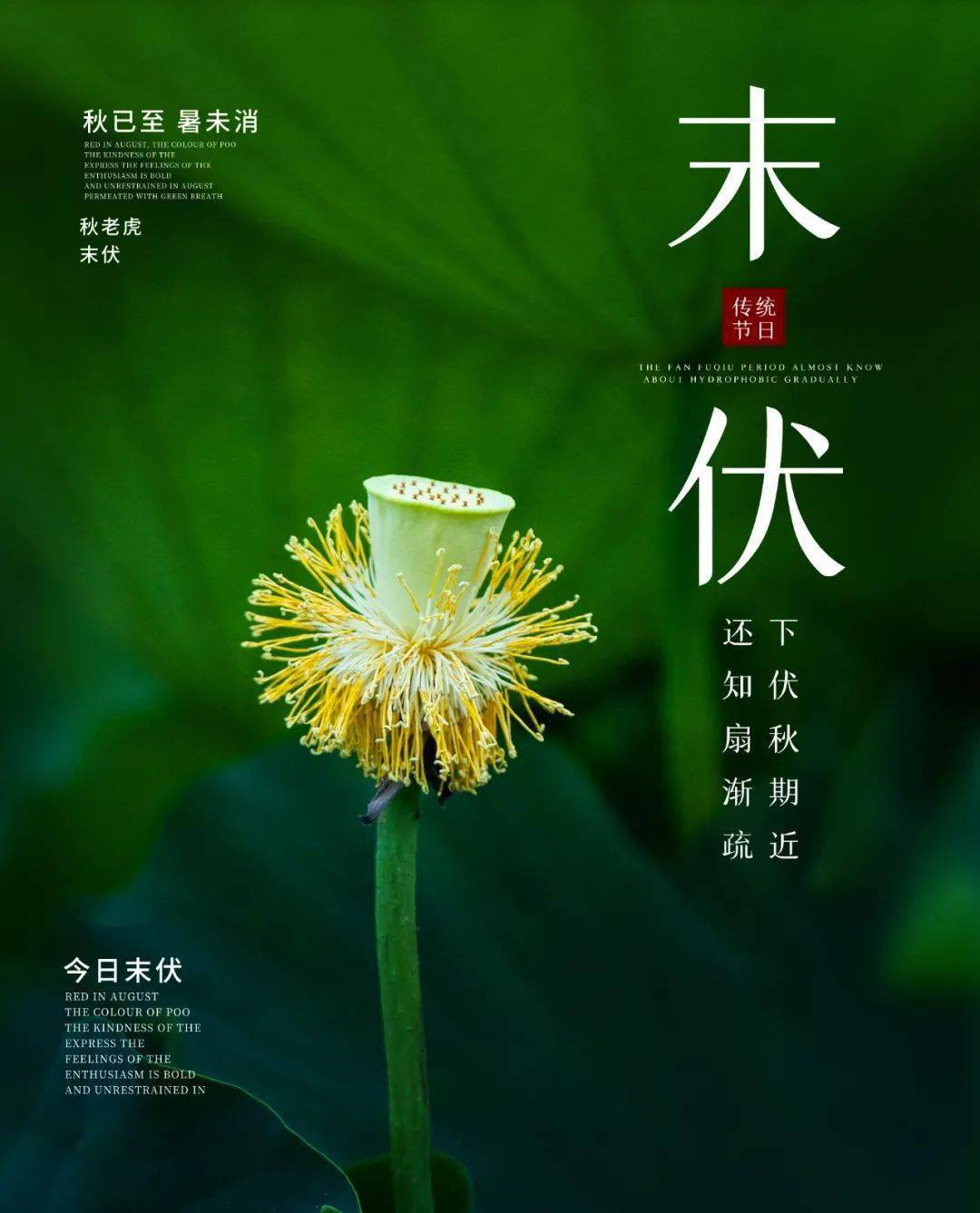 8月15日末伏早安正能量朋友圈语录文案 末伏朋友圈说说图片大全_生活