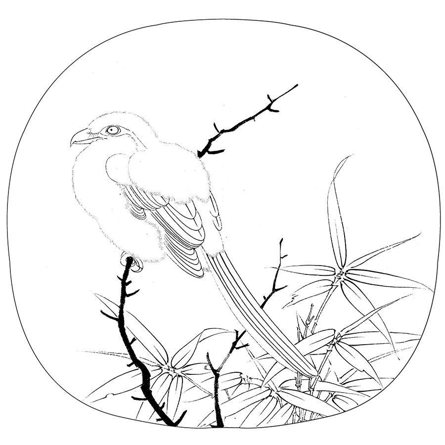 花鸟画白描稿,高清!