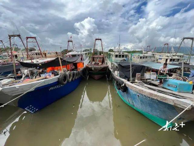 67江门台山全面开渔,千船争"鲜"_杨兴乐_渔船_南方