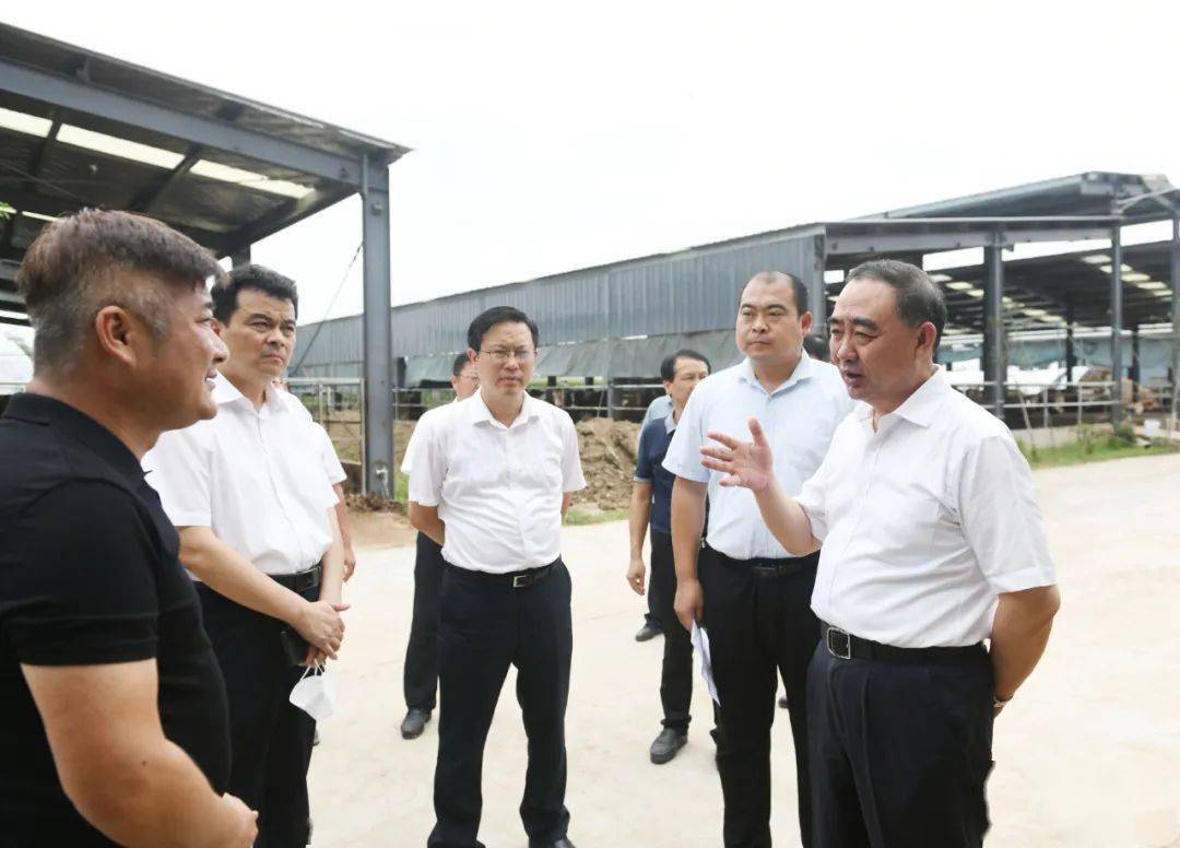 当天上午,孙正东一行先后深入临泉县高塘镇杨庙村王营,老东庄及长官镇