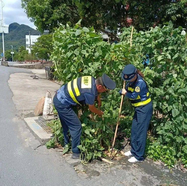 【路政管理】联合整治路域环境问题 及时消除安全隐患_公路_违法_广告牌