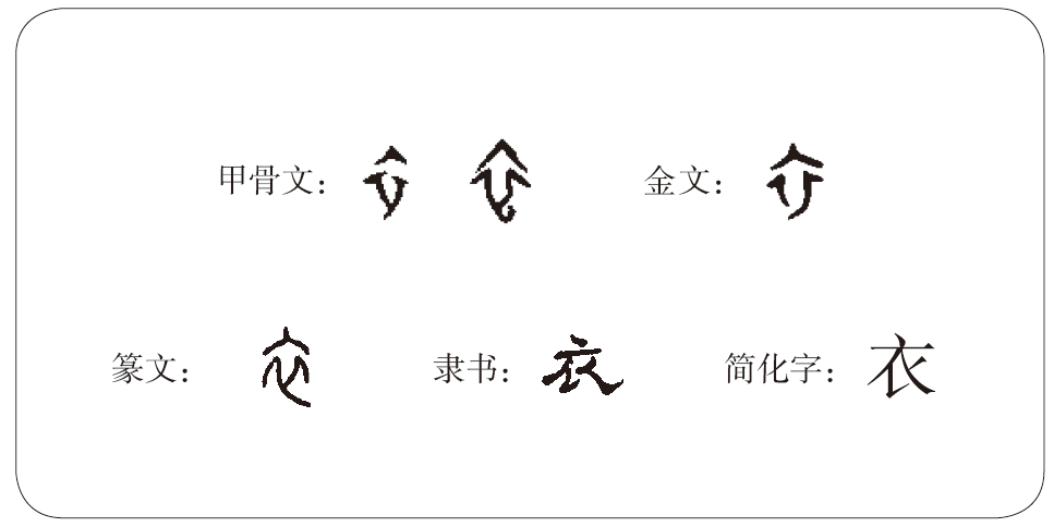 衣字的字形演变如其字形