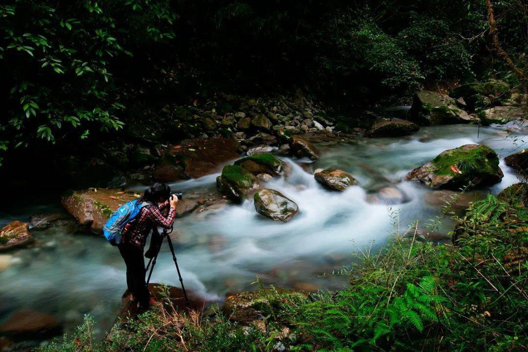 鱼泉山风景区图片