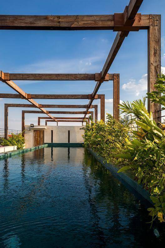 在楼顶建造水池,简直就是夏季休闲的好去处_游泳_种植_装上