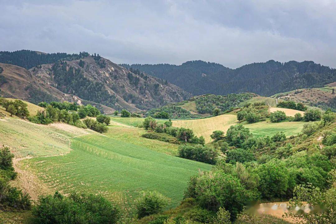 新疆木垒伴山公路_旅游_木垒县_东三