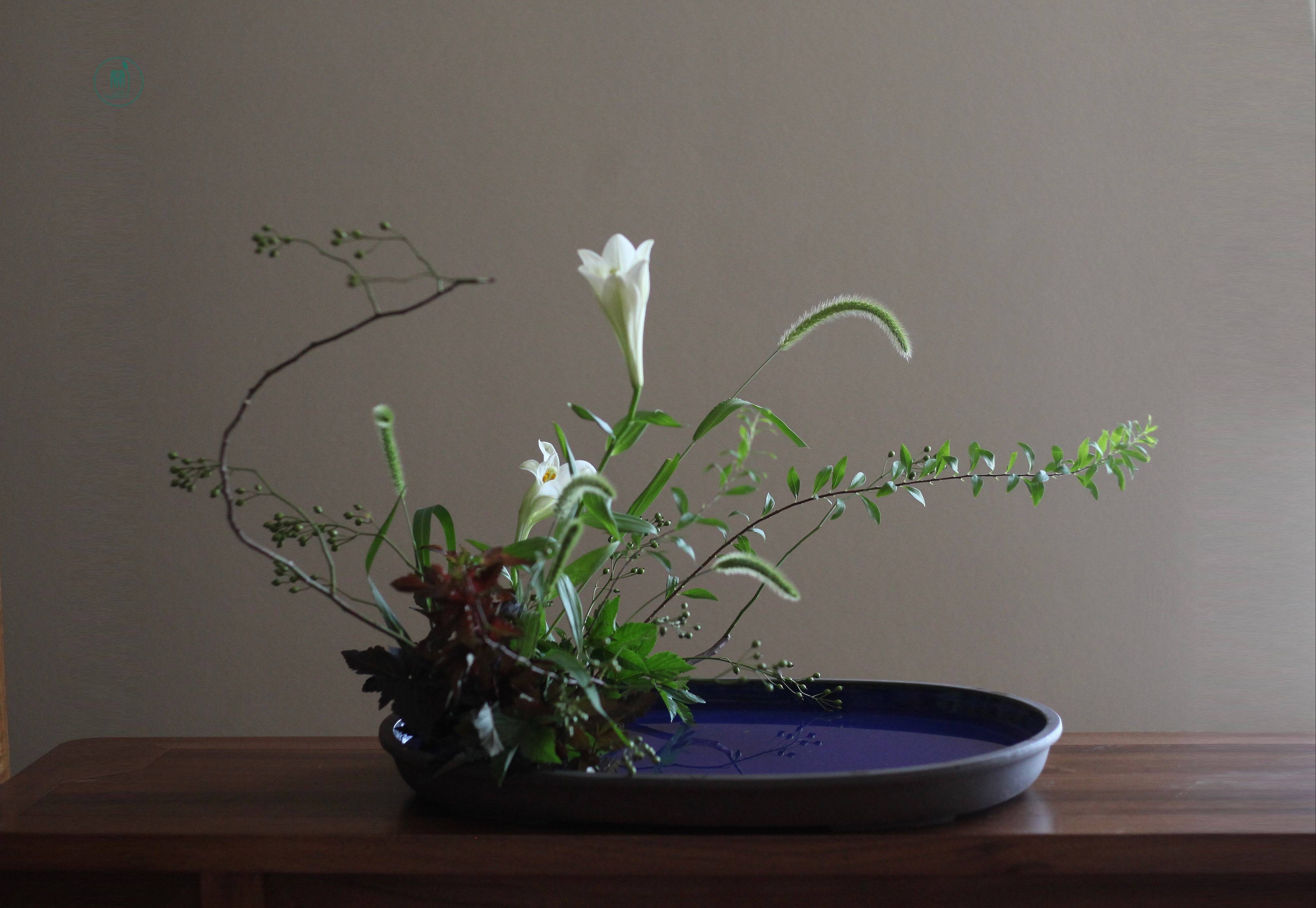 西安插花培训|蘭印象小原流花道教室#花道课