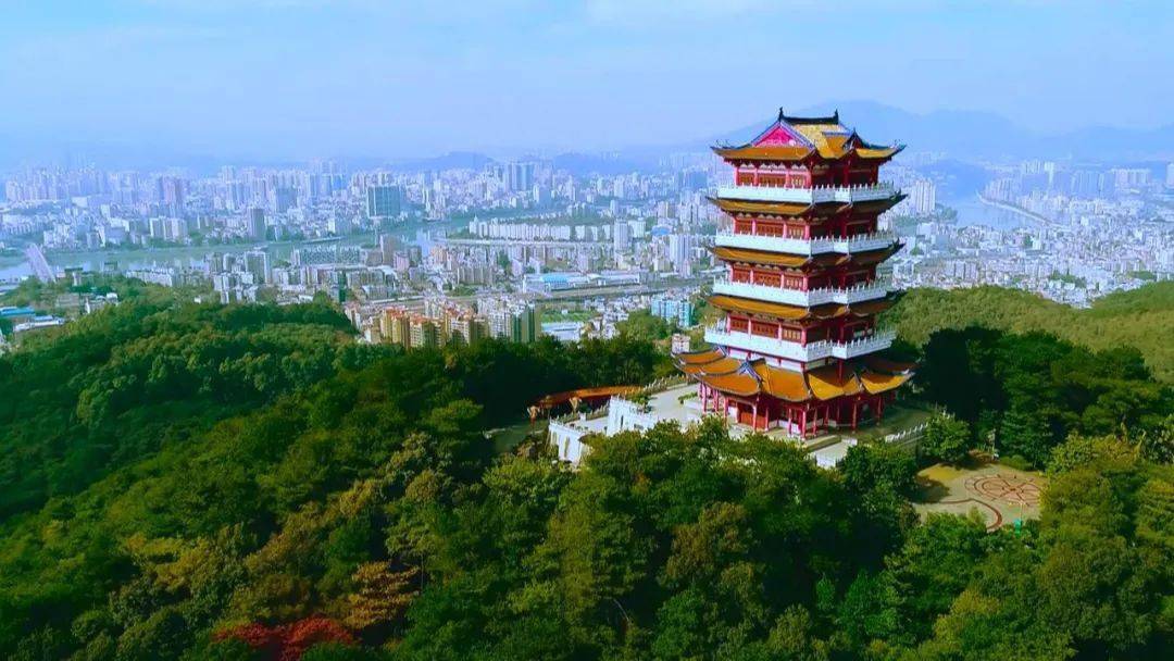 韶关这个保护区,首次发现藏酋猴!_广东_工作_乐昌