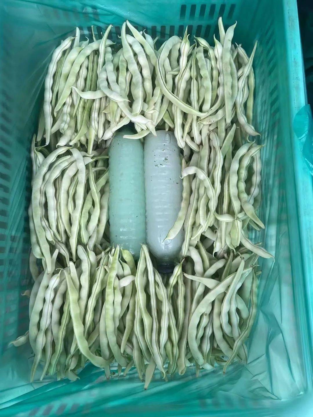 92元/公斤,比7月29日3.21元/公斤下降9.03%.