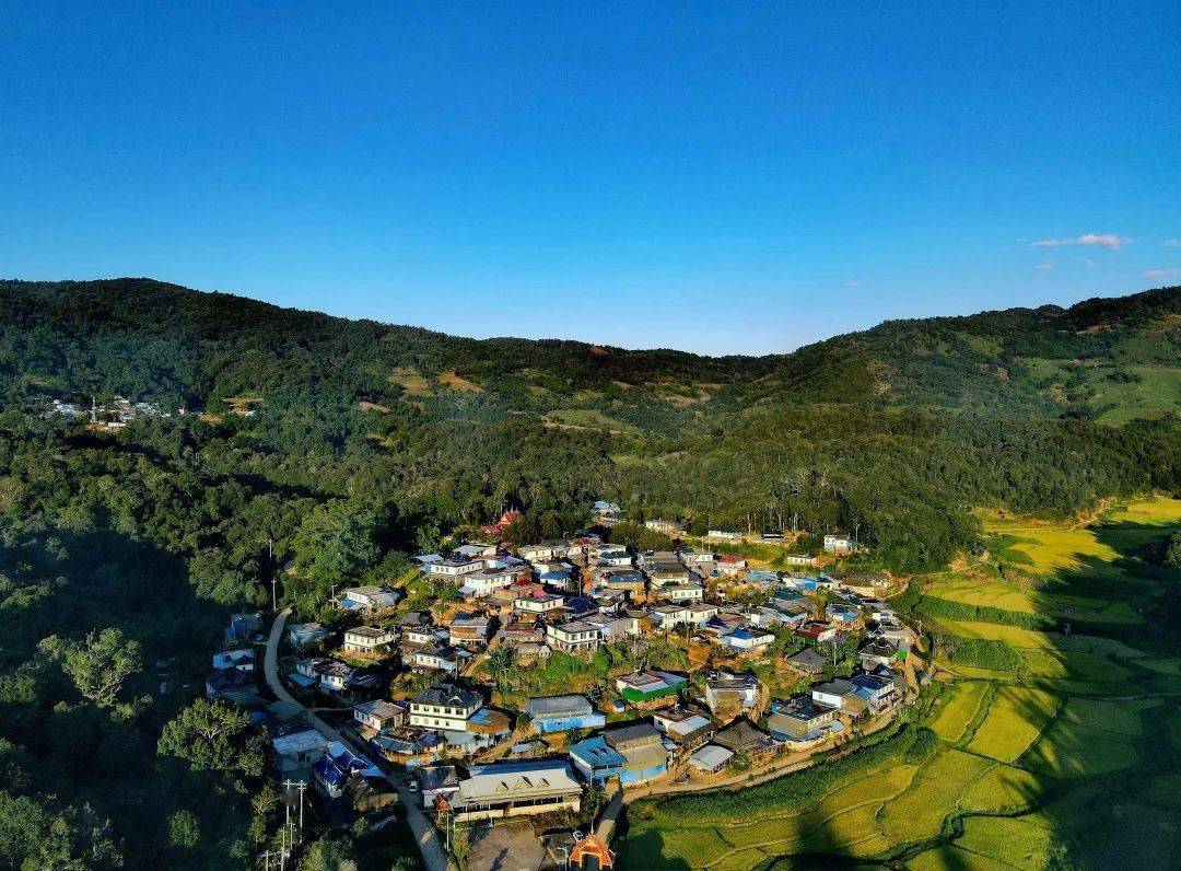 勐海县勐宋乡:三项举措推深做实林长制工作