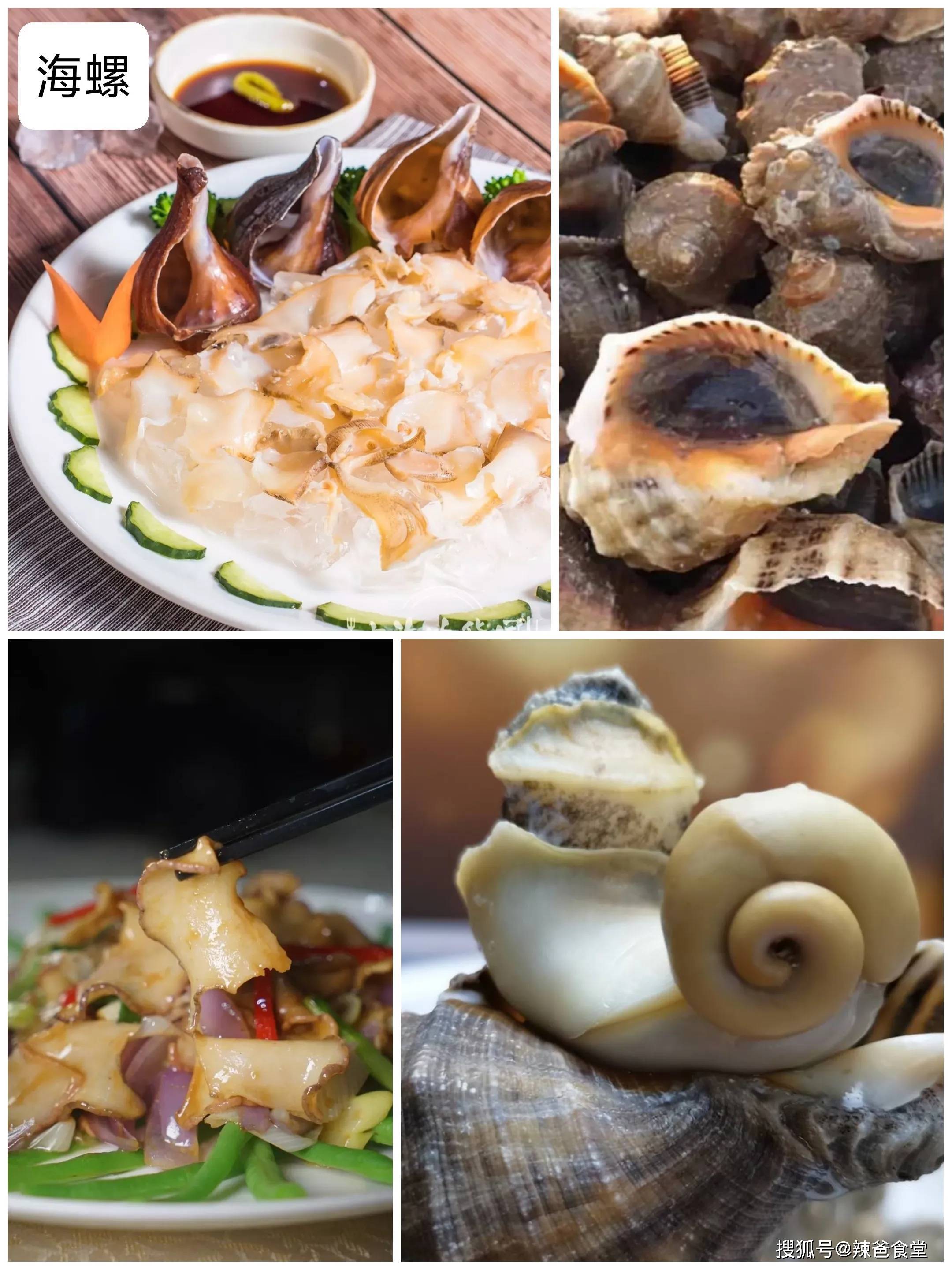 盐焗海螺怎么做_盐焗海螺的做法_豆果美食