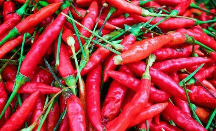 "烂胃王"或已被发现,不要冤枉辣椒,消化科医生:能不吃就不吃_食物