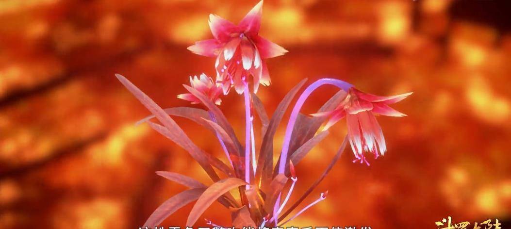 这就导致后续的斗罗大陆也难整个什么杀神领域,毕竟修罗之名只有我