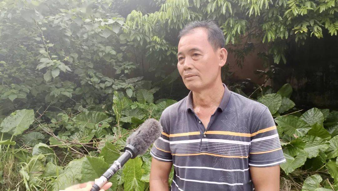 博白县凤山镇陶荣富硒狮头鹅养殖有限公司负责人刘建林是武卫村有名的