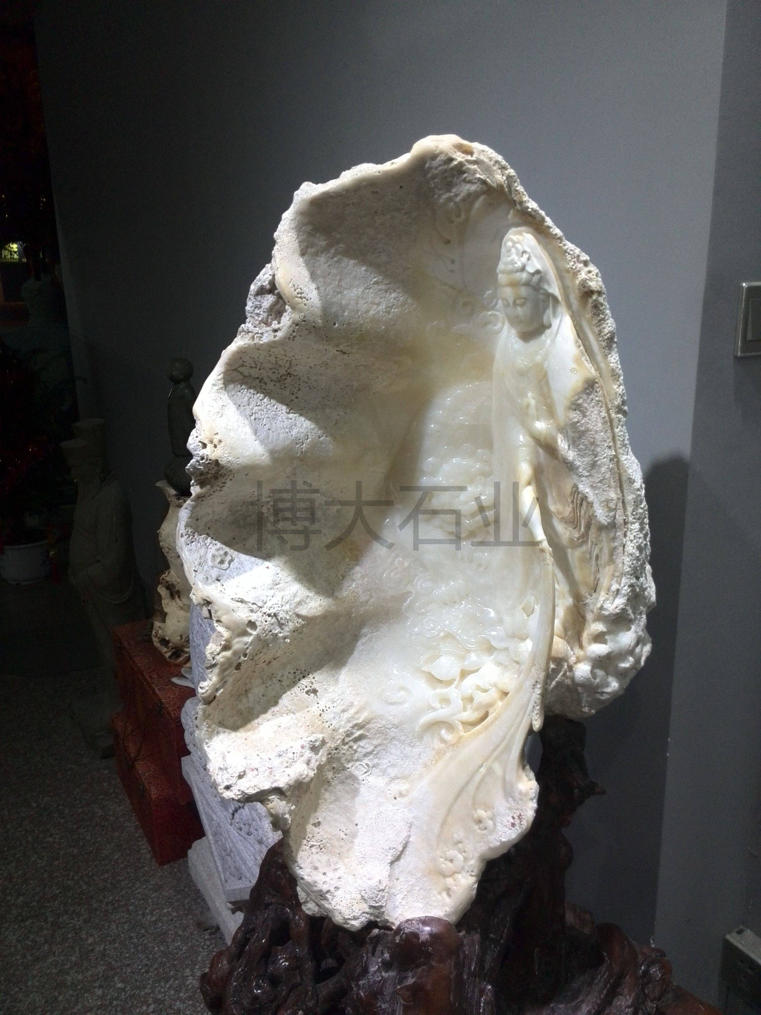 砗磲的魅力在哪里_蛤蜊_什么_深海