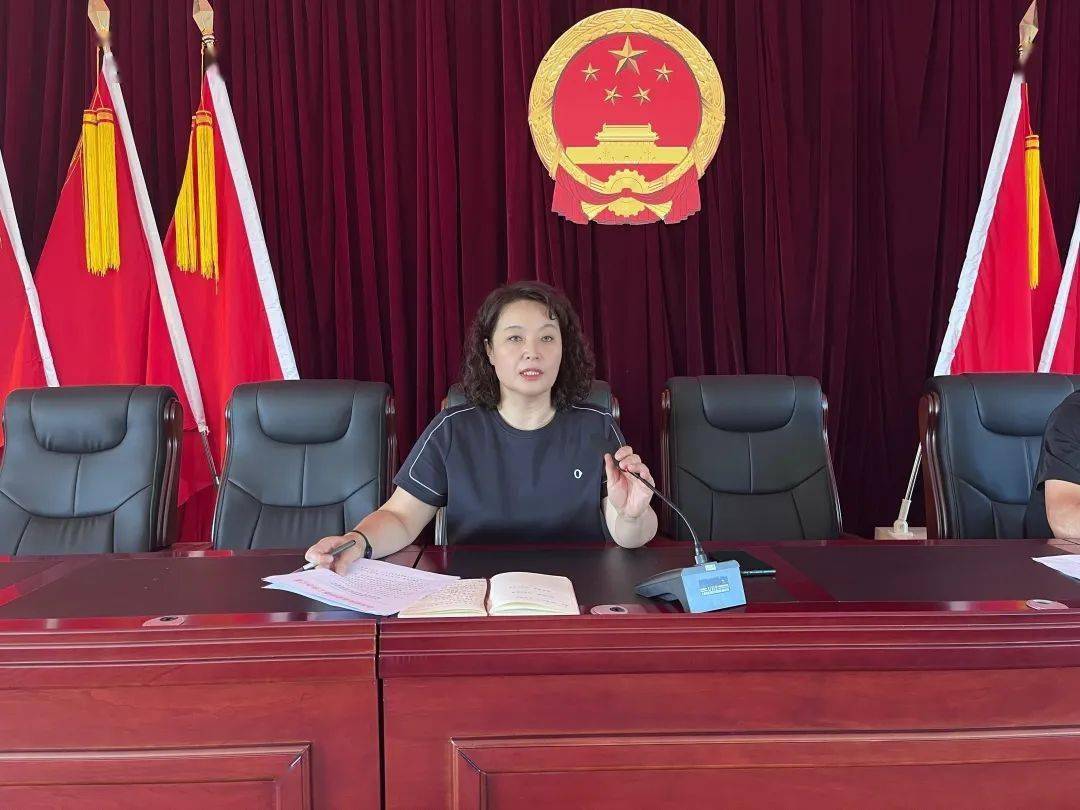 梨树镇在镇政府五楼会议室举办了专题培训班,由梨树镇党委书记孙冬梅