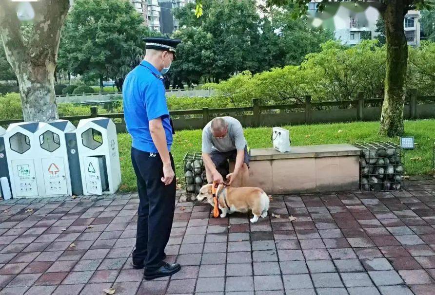 "遛狗不牵绳"不文明养犬罚单