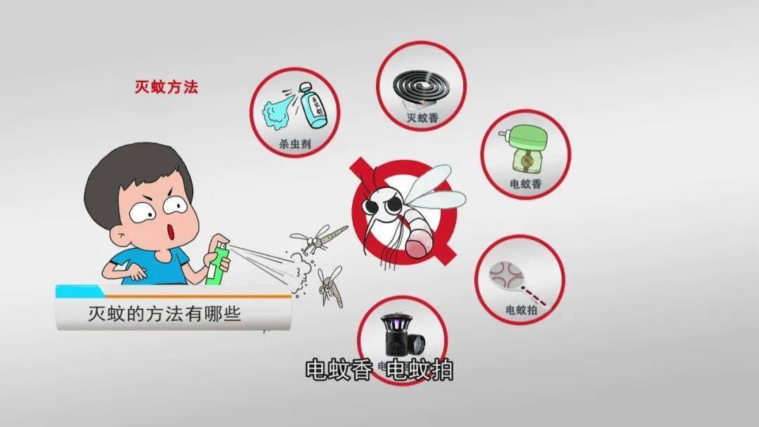 健康科普讲堂| 防蚊大作战,这些防蚊灭蚊方法要收好