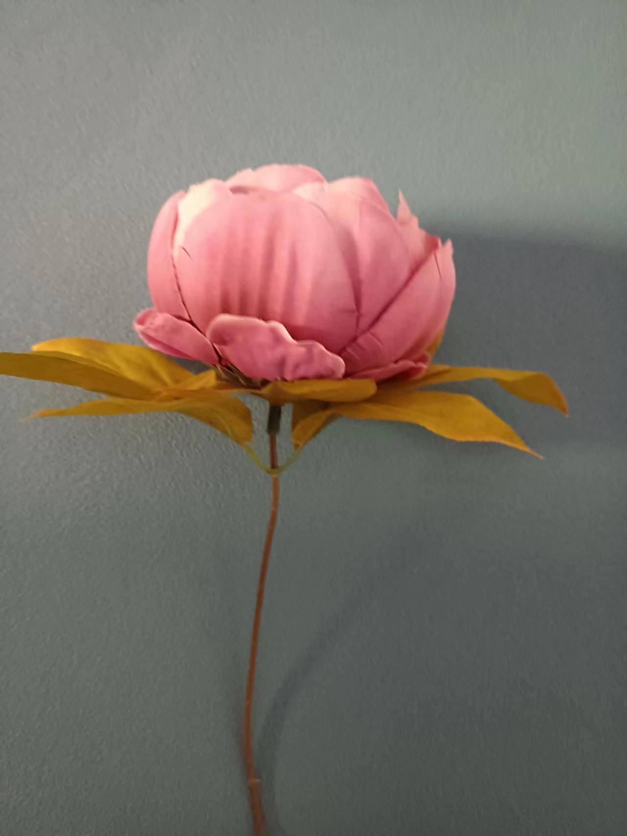 8月22日23日24日财运横生 横财一发再发 能发千万钱财 这3生肖有你吗 自然 事业 金局 8月22日23日24日财运横生 横财一发再发 能发千万钱财 这3生肖有你吗 自然 事业 金局