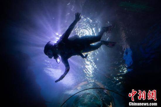 【图片故事】她，潜入“海底世界”与鱼共舞