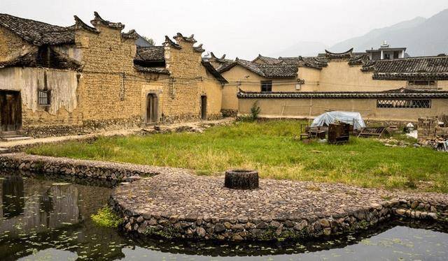 浙江有一个古镇，以大钱命名，镇内还藏着一株600多年的古银杏