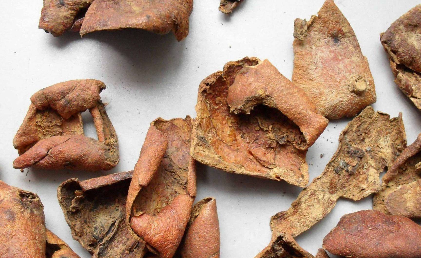 石榴是秋季"黄金果",皮,汁,籽,花,根都可吃,但三类人少碰_功效_血管