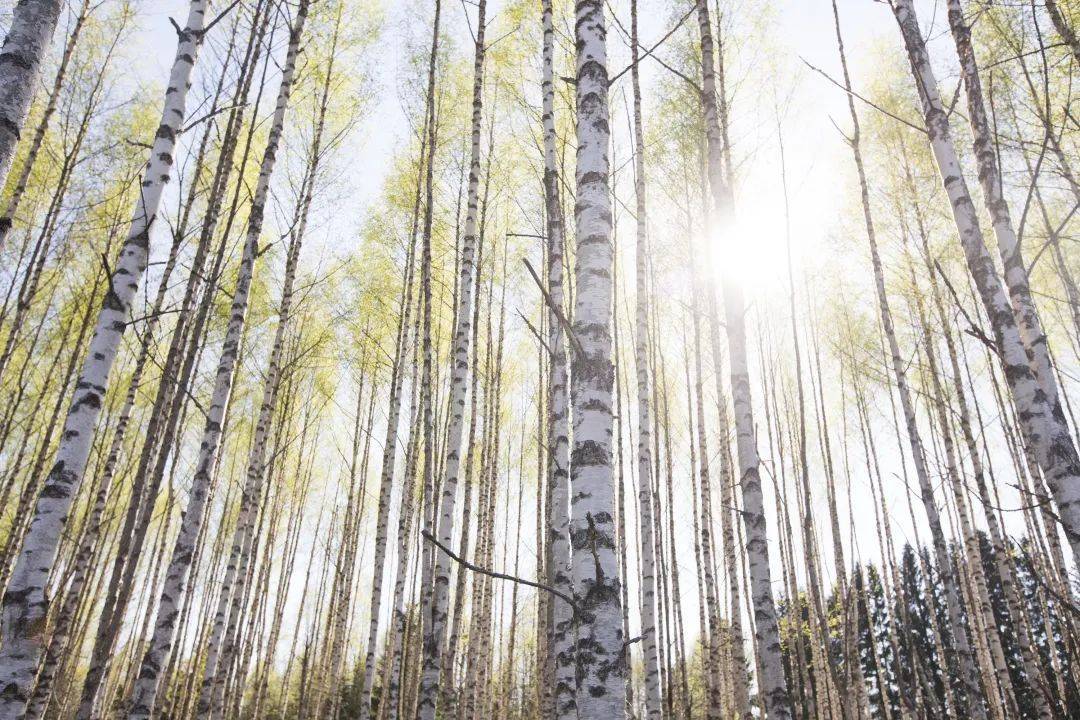 护肤新主张,无水更有效!养生堂无水护肤开创者 护肤新主张,无水更有效!养生堂无水护肤开创者