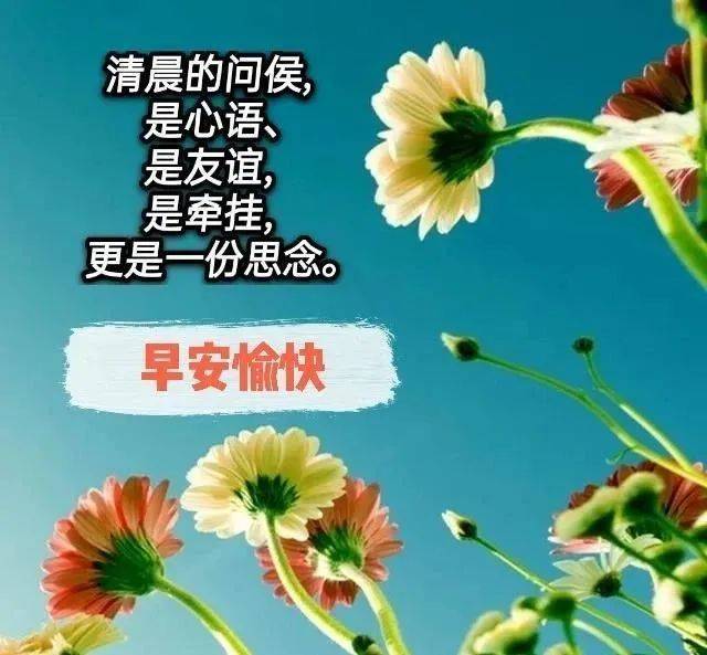 8张不用打字就可以聊天的早安图片带祝福语 好看的朋友圈早安问候祝福