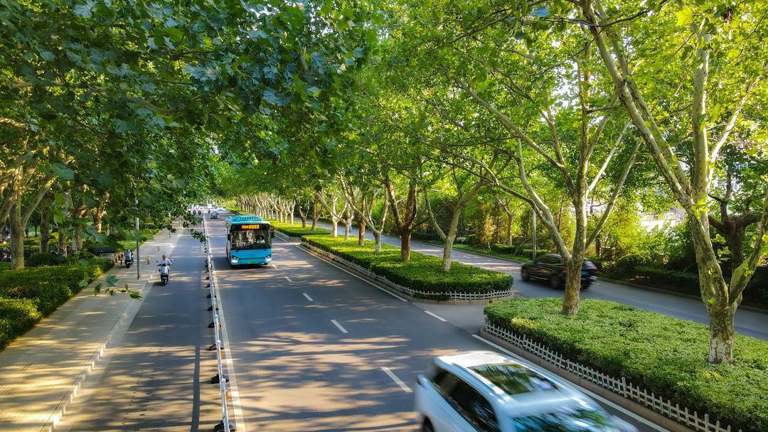 大美徐州丨跟着"林荫地图"找清凉_孙博宇_国乐_王陵路