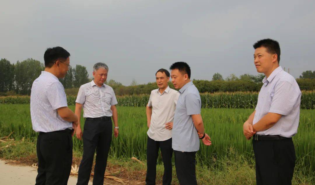 南阳市副市长刘江率队到鸭河工区调研抗旱保秋工作_用水_皇路店镇