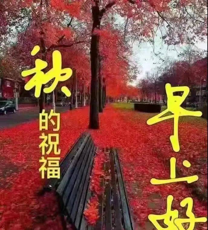 8张漂亮秋日风景早上好图片带字带祝福语 免打字聊天的早安问候祝福语
