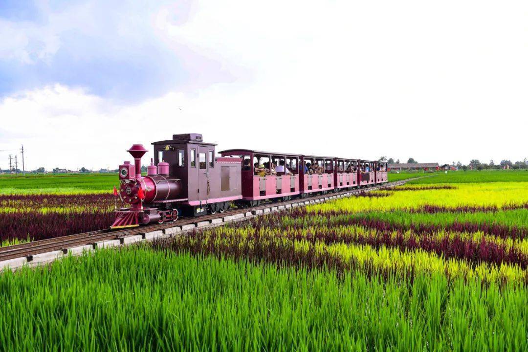 【文化旅游】自带"电影脸"的稻梦空间,谁拍都能出大片_锡伯_稻田_火车