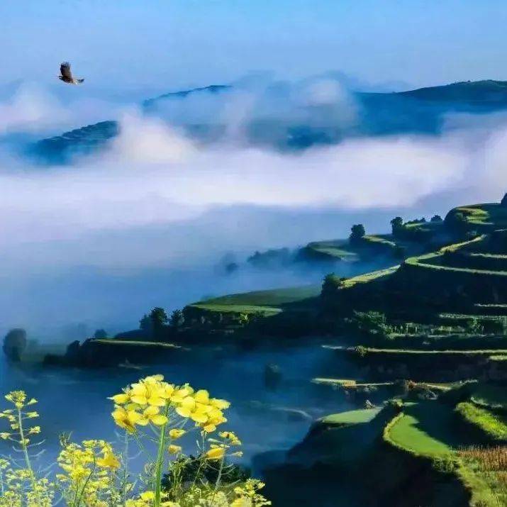 平凉庄浪 | 且听庄浪岁月，静看别样山水_梯田_文化_人民