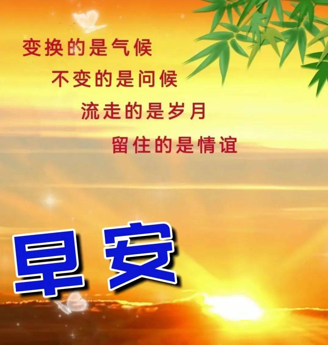 【早安馨語】花是牡丹美,人是朋友親;無論遠與近