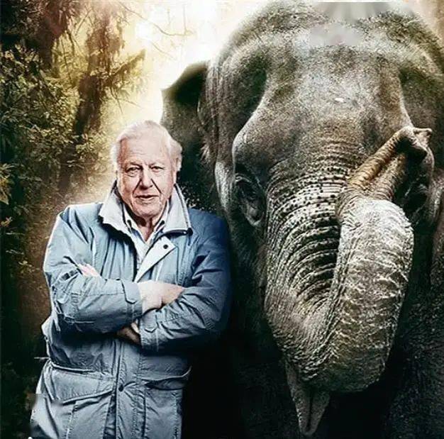 宝藏纪实|大卫爱登堡带你趣味探索自然_世界_part_科学